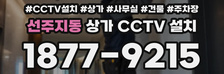 선주지동 상가 CCTV 설치