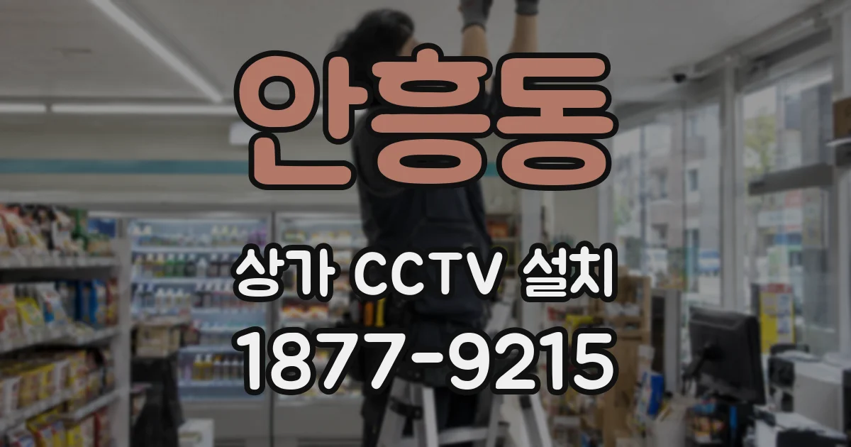 안흥동 상가 CCTV 설치