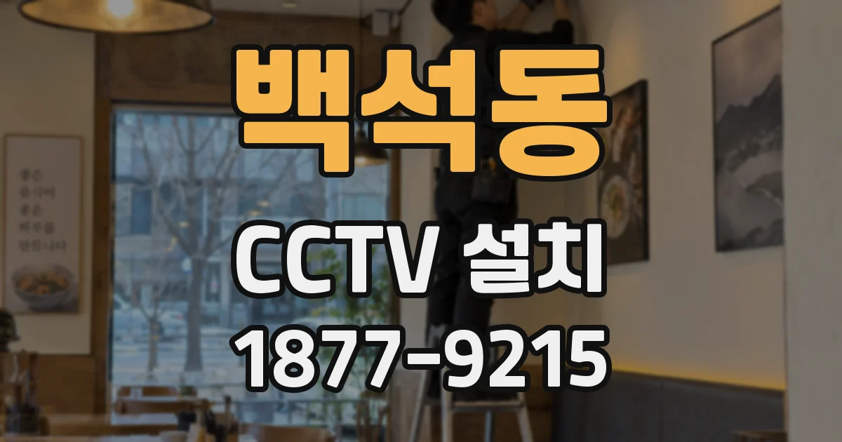백석동 CCTV 설치