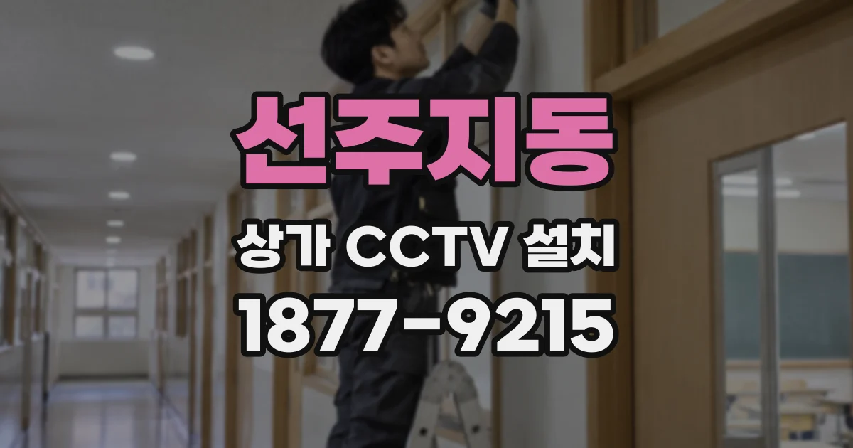 선주지동 상가 CCTV 설치