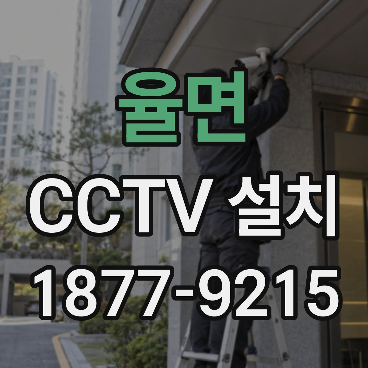 율면 CCTV 설치
