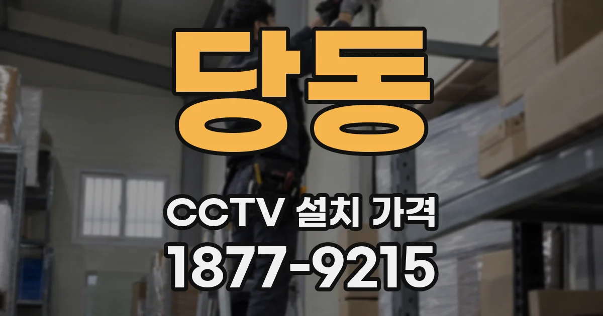 당동 CCTV 설치 가격