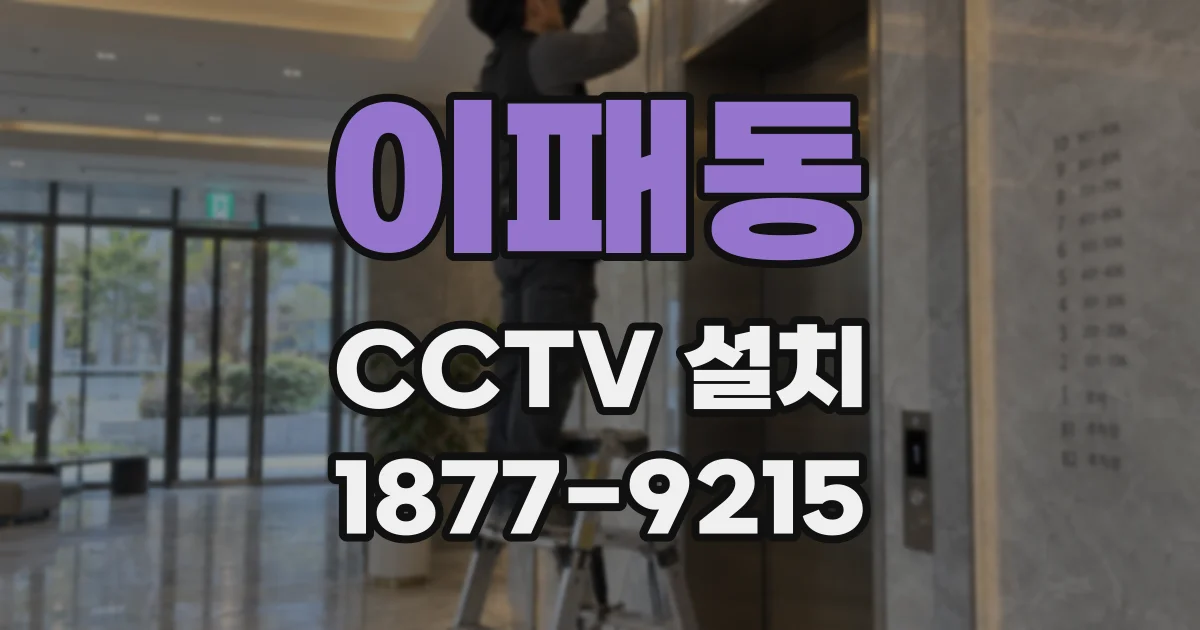 이패동 CCTV 설치