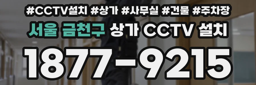 서울 금천구 상가 CCTV 설치