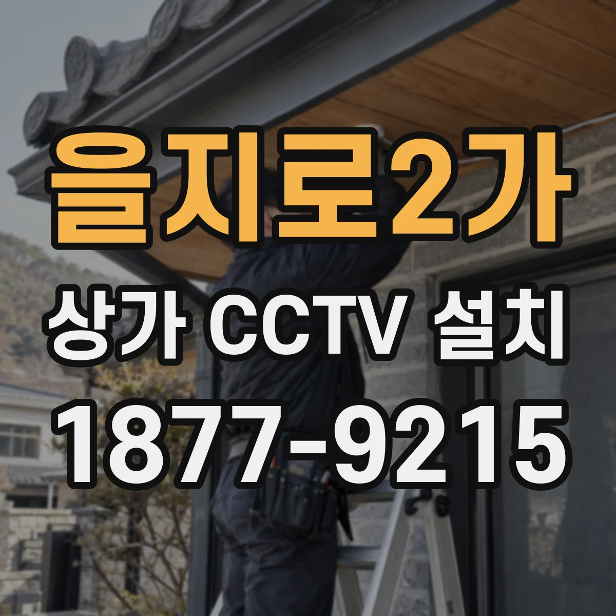 을지로2가 상가 CCTV 설치