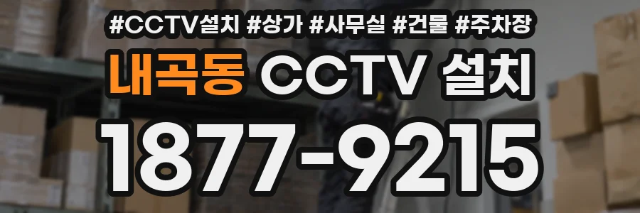 내곡동 CCTV 설치