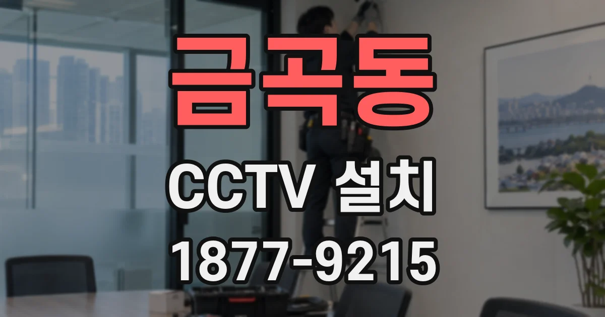 금곡동 CCTV 설치