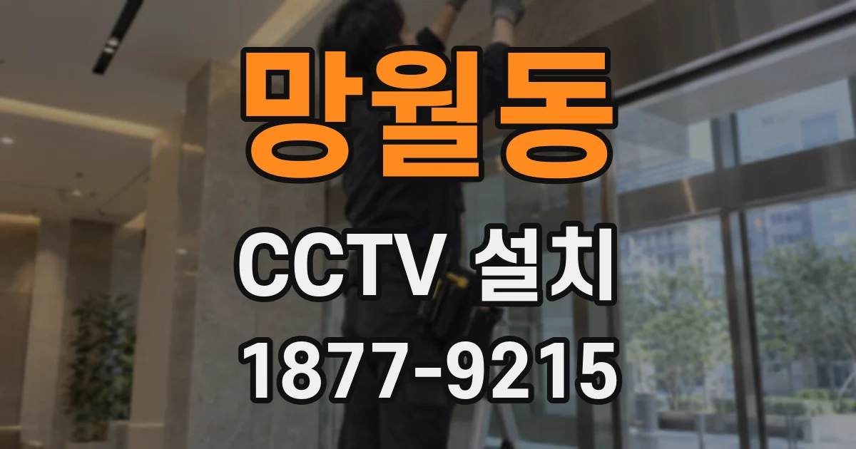 망월동 CCTV 설치