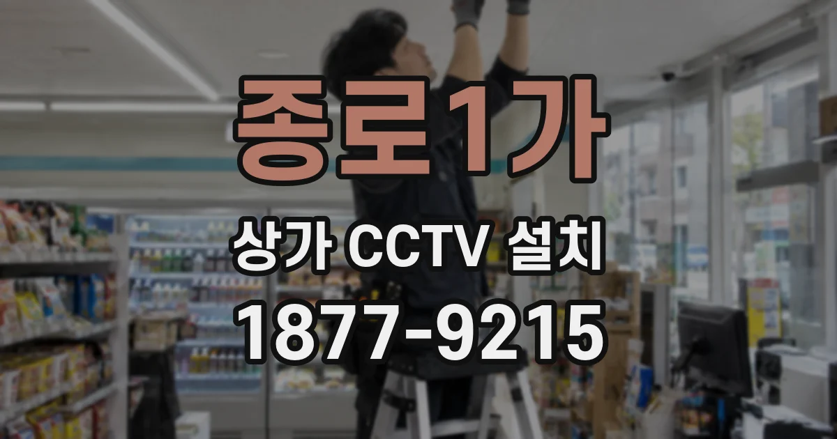 종로1가 상가 CCTV 설치