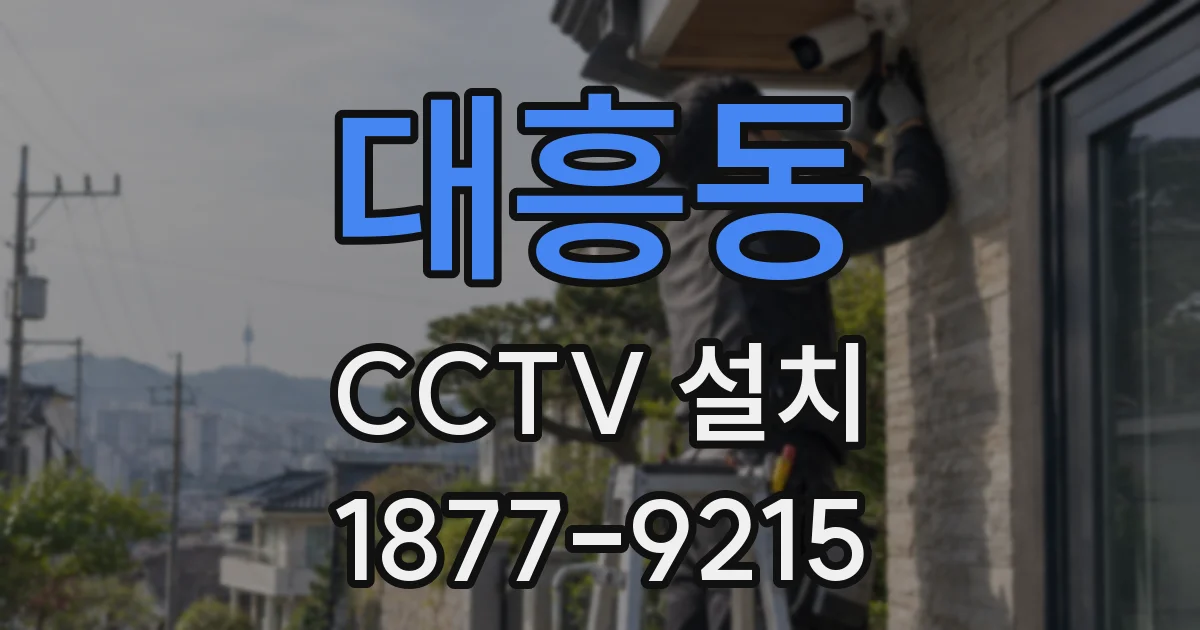 대흥동 CCTV 설치