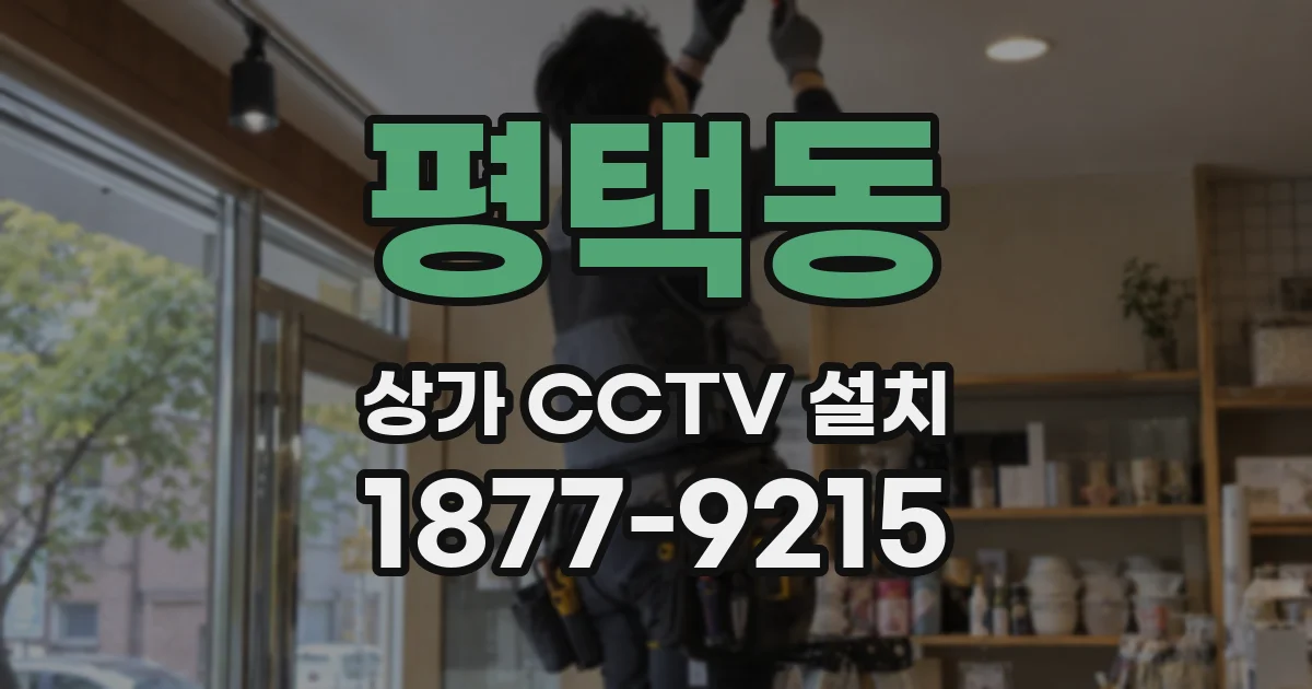 평택동 상가 CCTV 설치