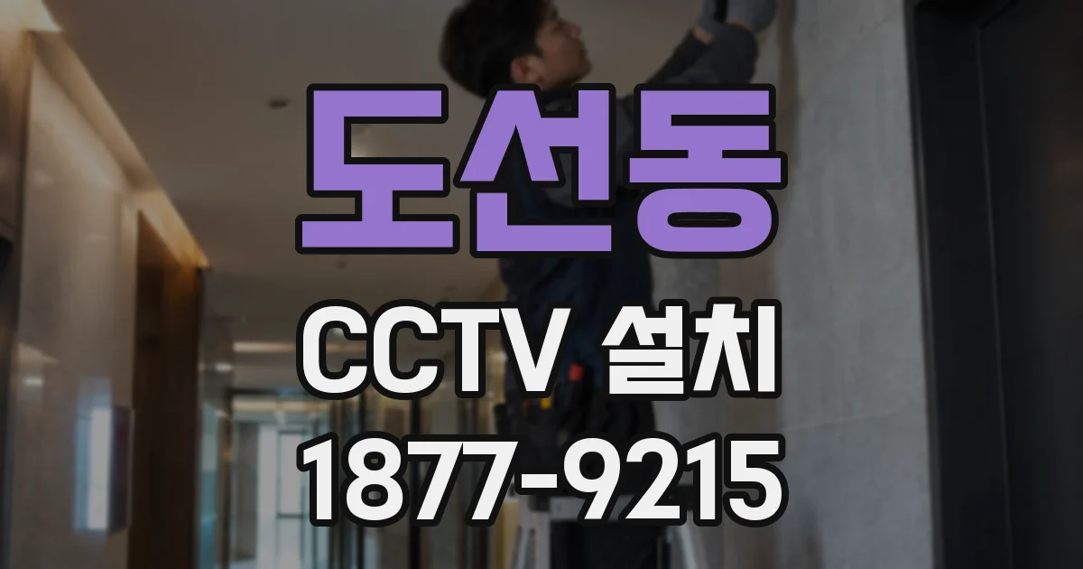도선동 CCTV 설치