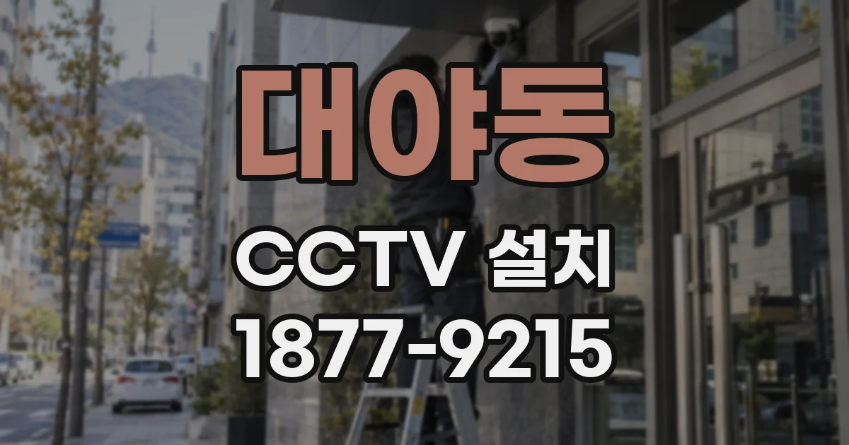 대야동 CCTV 설치