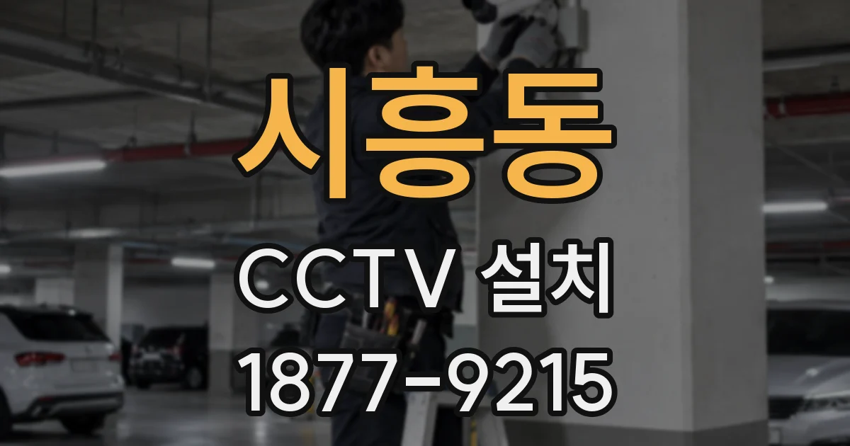 시흥동 CCTV 설치