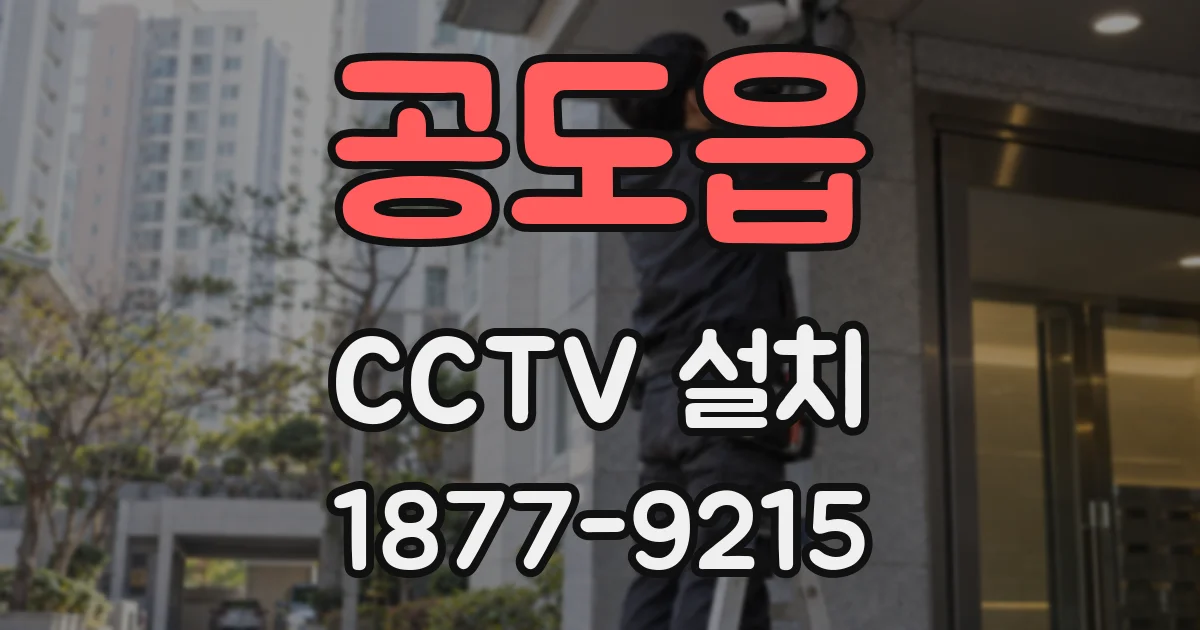 공도읍 CCTV 설치