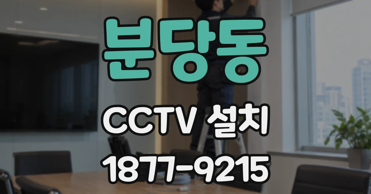 분당동 CCTV 설치