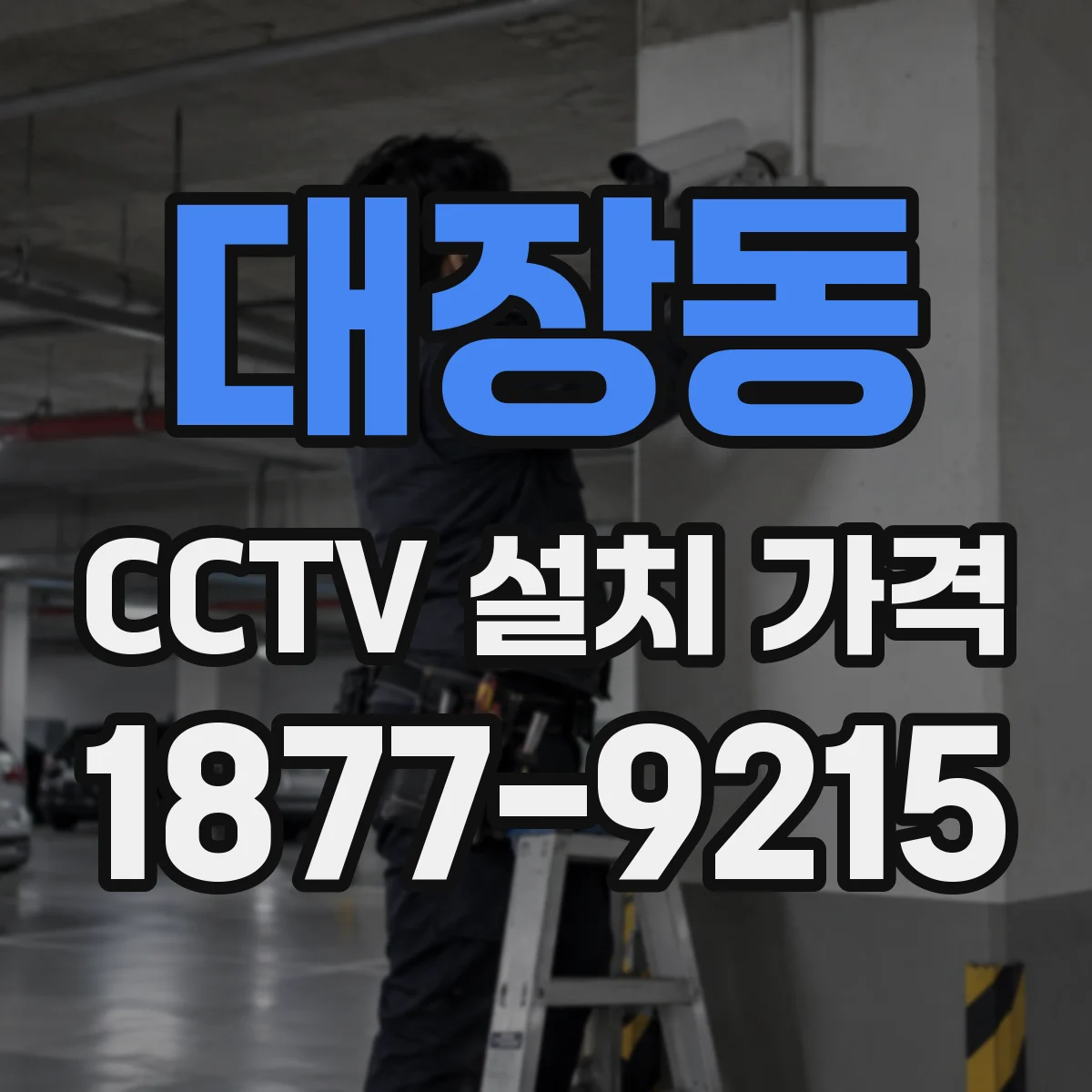 대장동 CCTV 설치 가격