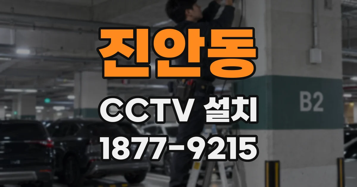 진안동 CCTV 설치