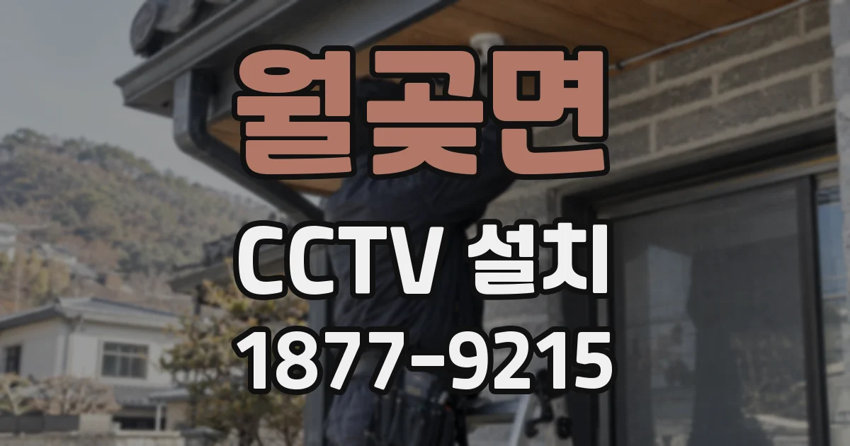 월곶면 CCTV 설치