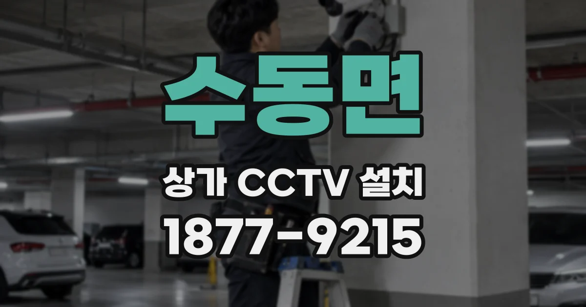 수동면 상가 CCTV 설치