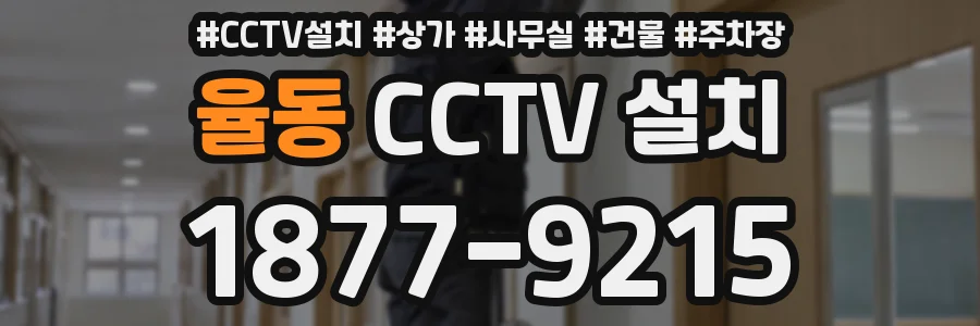율동 CCTV 설치