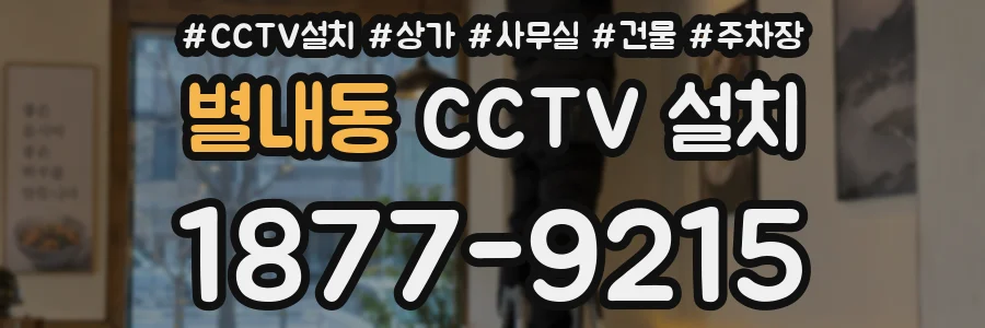 별내동 CCTV 설치