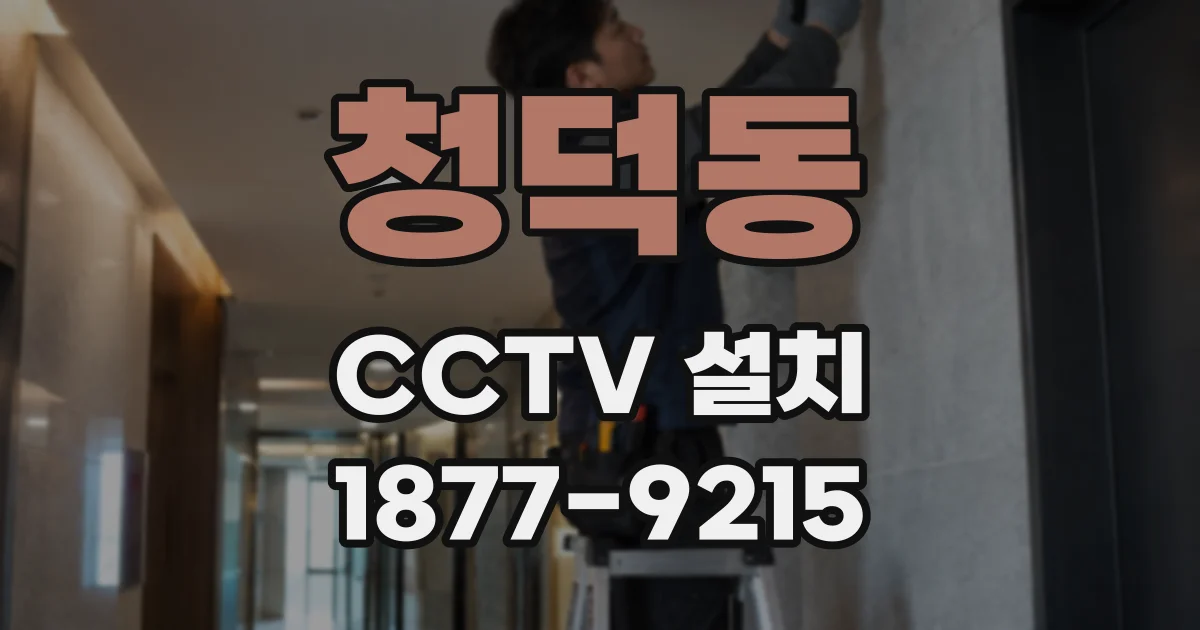 청덕동 CCTV 설치