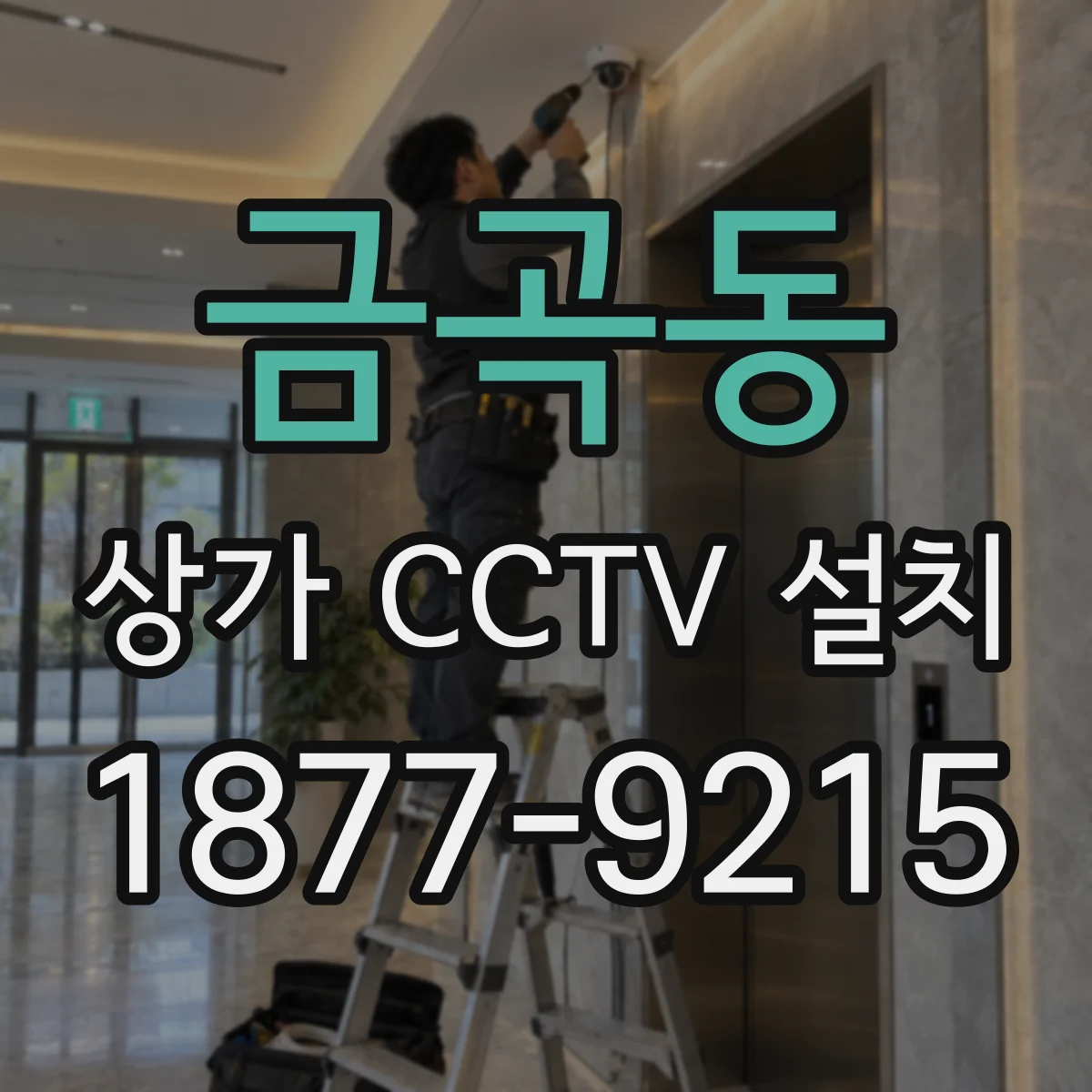 금곡동 상가 CCTV 설치