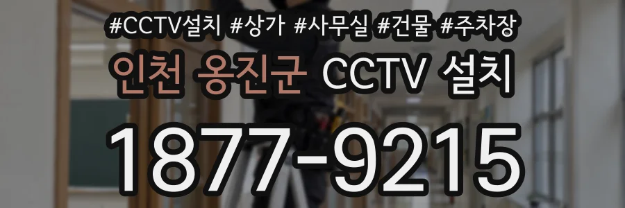 인천 옹진군 CCTV 설치