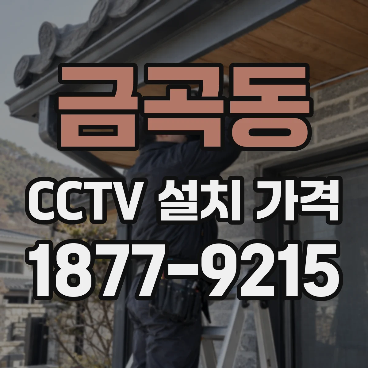 금곡동 CCTV 설치 가격