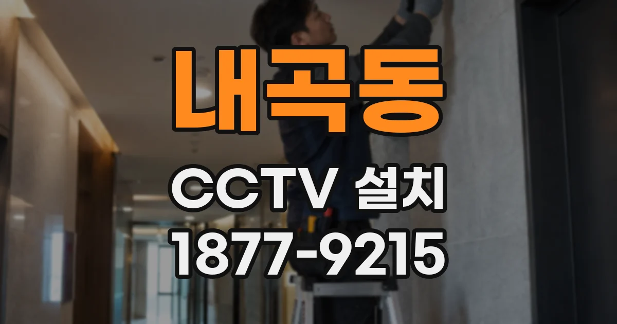 내곡동 CCTV 설치