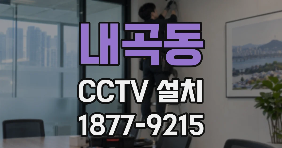 내곡동 CCTV 설치