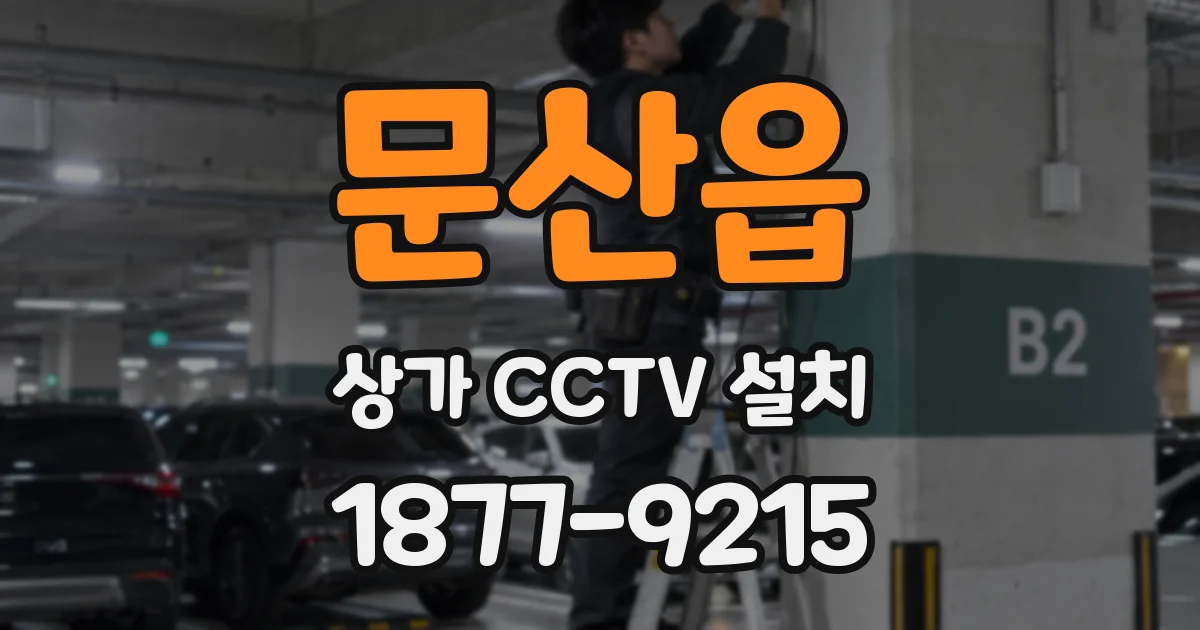 문산읍 상가 CCTV 설치