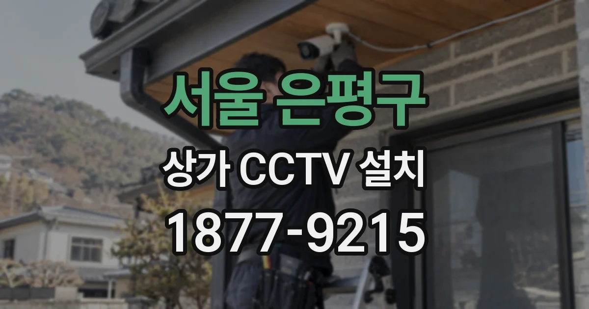 서울 은평구 상가 CCTV 설치