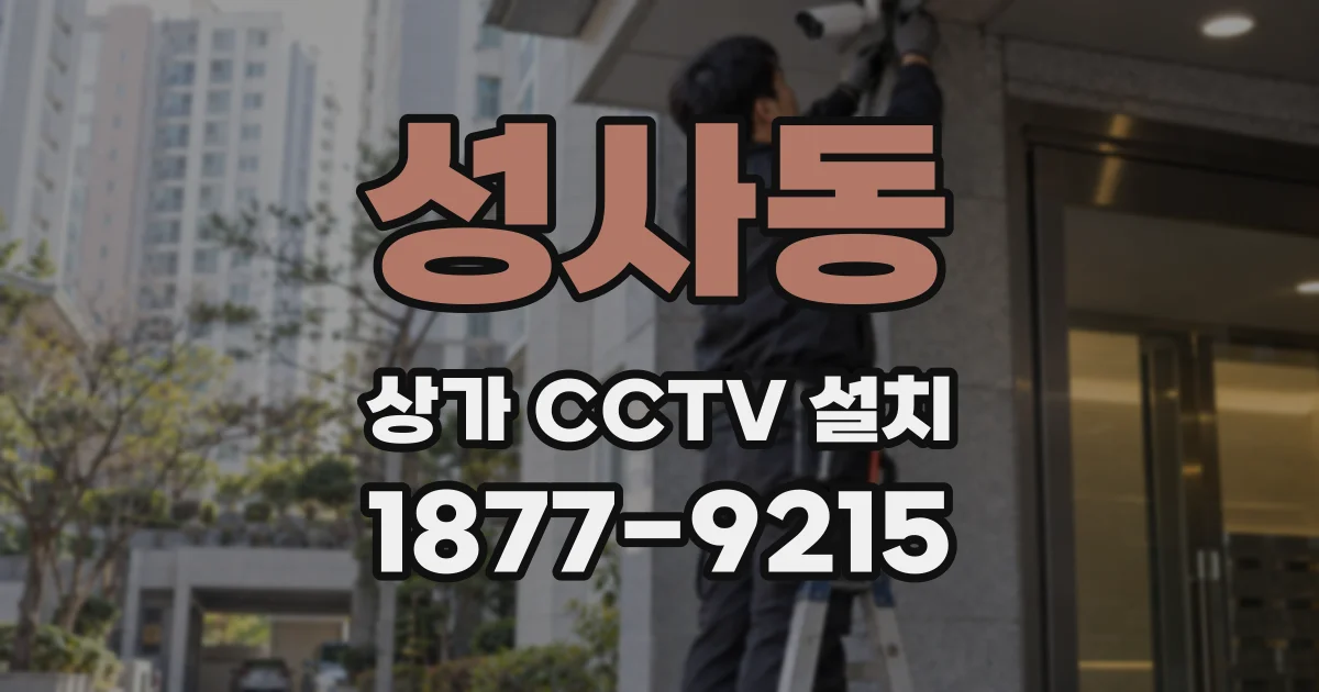 성사동 상가 CCTV 설치