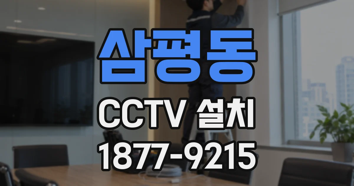 삼평동 CCTV 설치