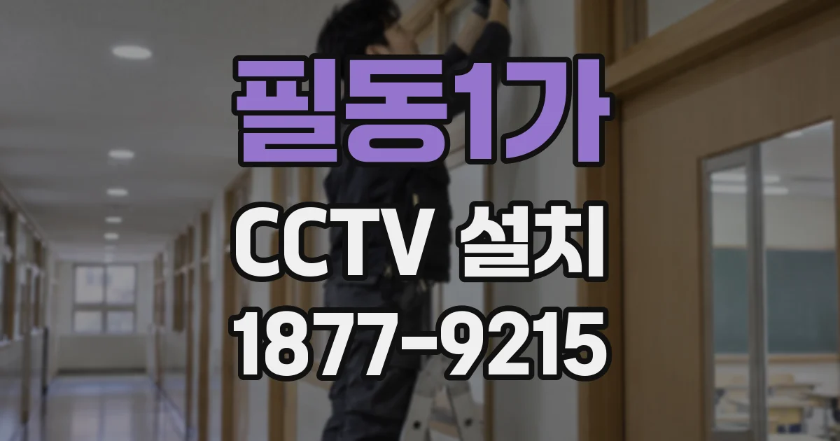 필동1가 CCTV 설치