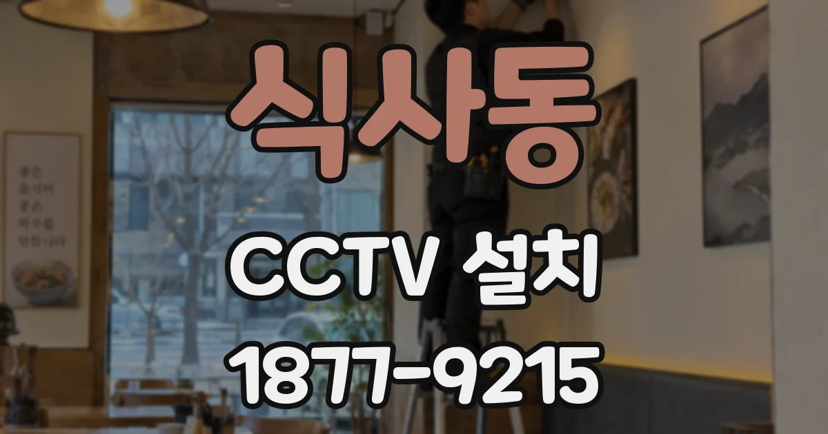 식사동 CCTV 설치