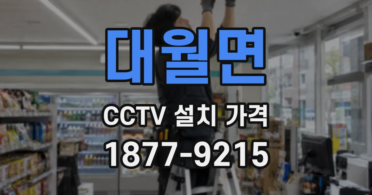대월면 CCTV 설치 가격