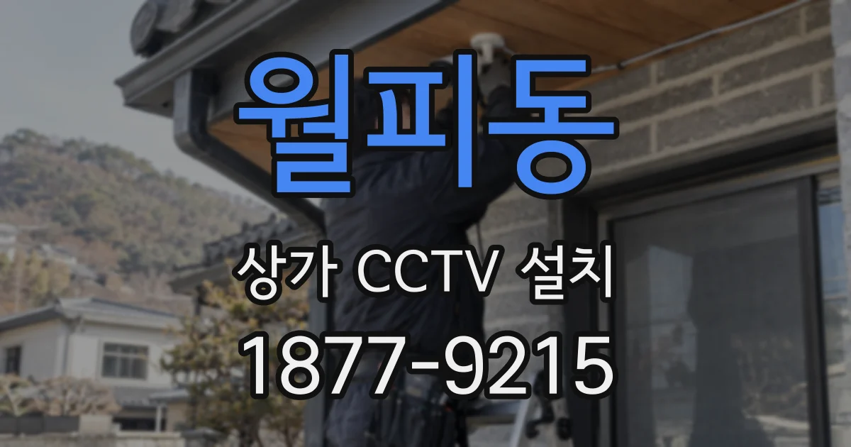 월피동 상가 CCTV 설치