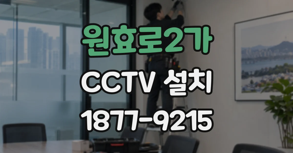 원효로2가 CCTV 설치