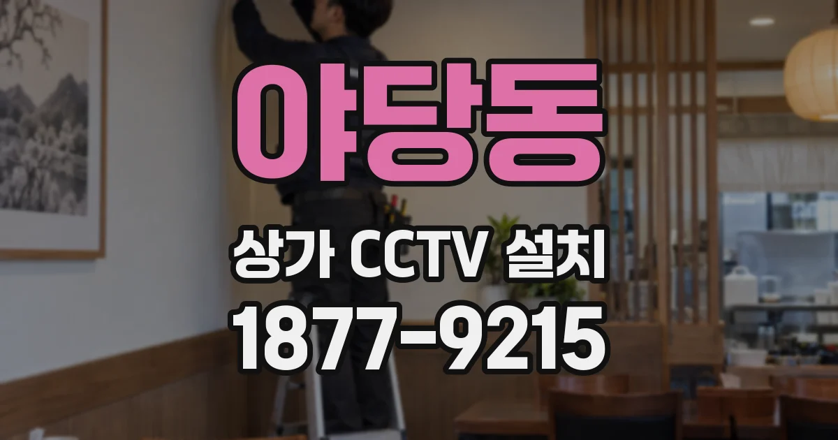 야당동 상가 CCTV 설치