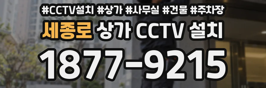 세종로 상가 CCTV 설치