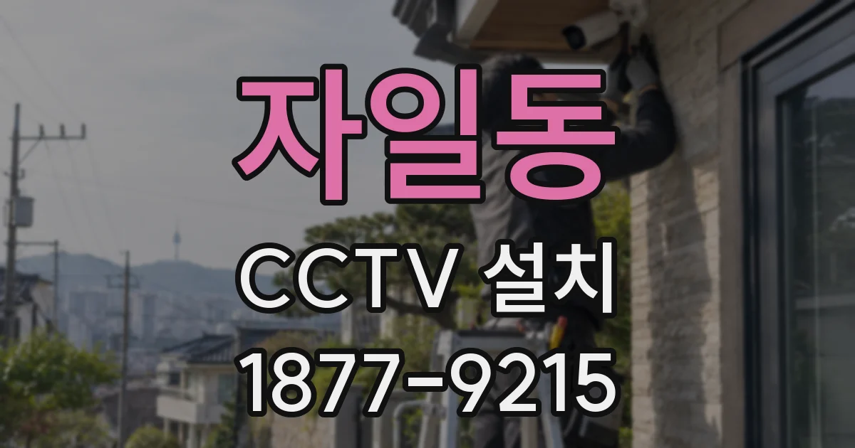 자일동 CCTV 설치