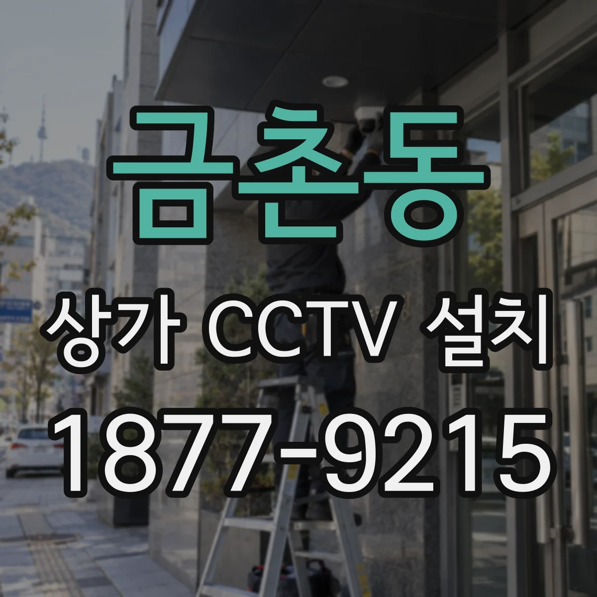 금촌동 상가 CCTV 설치