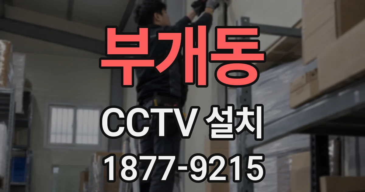 부개동 CCTV 설치