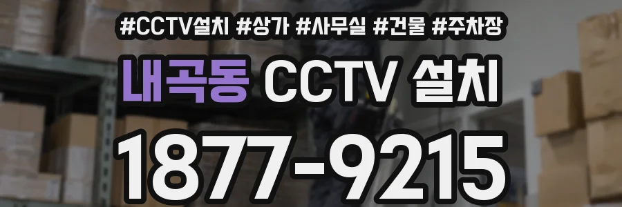 내곡동 CCTV 설치