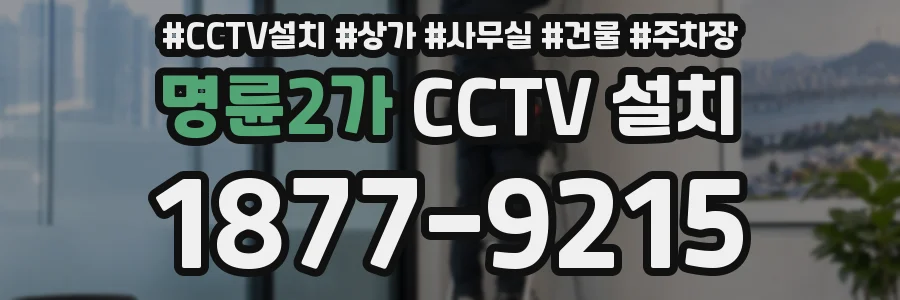 명륜2가 CCTV 설치