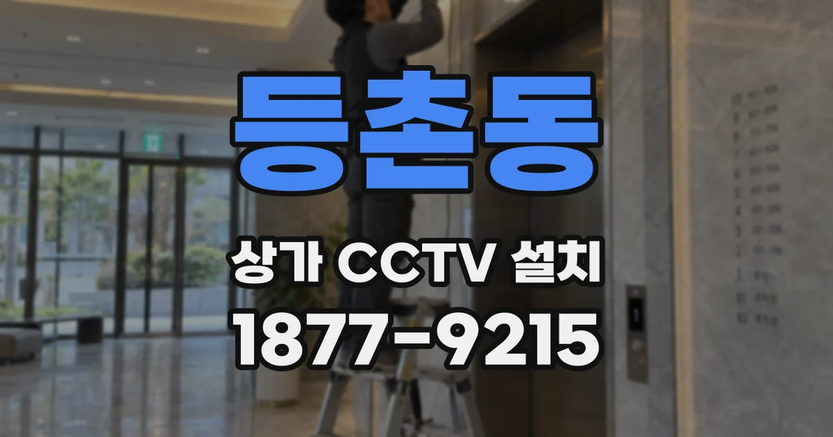 등촌동 상가 CCTV 설치