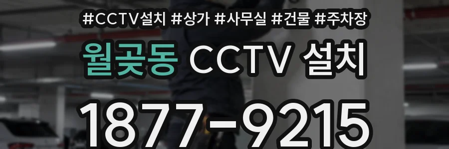 월곶동 CCTV 설치